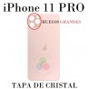 iPhone 11 PRO - TAPA TRASERA DE CRISTAL DORADO CON LOGO